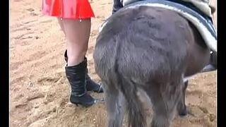 Don't Miss Latex bitch riding donkey — | video bokeh japanese word origin full | delivers the goods