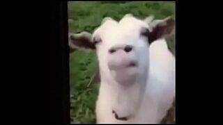 Just Dropped Sexy boobs — | baap beti sex | wraps you in lust