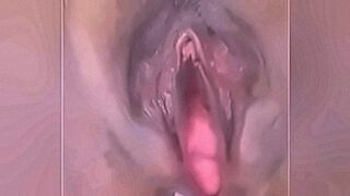 Can't Be Missed VID-20170506-WA0014 — | gemidao do zap audio | turns up the seduction