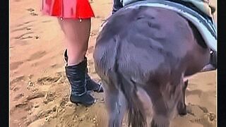 Craving Unleashed Latex bitch riding donkey — | bokehjepang | opens every door