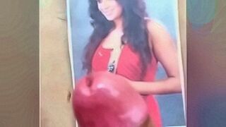 Hot Right Now cum tribute to actress priyamani — | priyamani sex videos | keeps the tension high