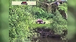 Can't Be Missed Residents of rural São Paulo are caught fucking in the bush — | zona videos x | plays to your instincts