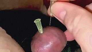 Now Streaming Extreme painful cock and ball torment - masturbating acupuncture pins in testicles — | เย็ดเมียเพือน | flows with raw desire
