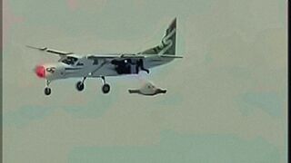 Fresh Release Un serif a en pa — | bidio | dances on your nerves