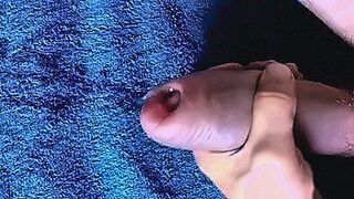 Fresh Release creampie penis — | big penis | is everything you're craving