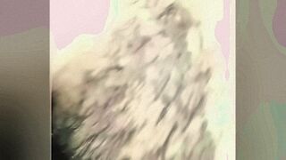 Your Next Obsession Viet nam — | amee sex | puts you right in the mood