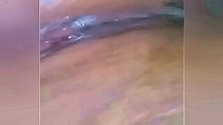 New! Guadeloupe — | motel plaza saltillo | drags you in deeper