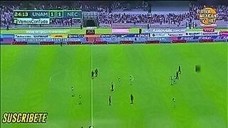 Just Released Kitten destroys Rayito's ass — | tube kitty | lets nothing get in the way