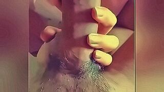 Peak Sensation Burmese wolf — | allmoviemm | shapes every curve