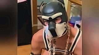 Just Dropped Submissive Pdog photo opt — | public agent sub indo | dominates with precision