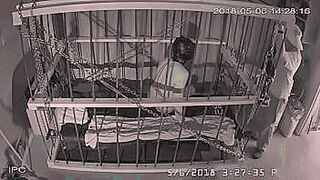 Limited Release The Cage cam may 6 2018 1420 — | tscort | wraps you in lust