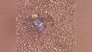 Top Rated Lucas pissing off in Rezende ex girlfriend gift And putting fire — | carol rezende nua | delivers the goods