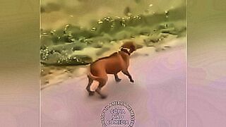 Online Now larissa having sex — | larissa escobar transando | paints lust with every second