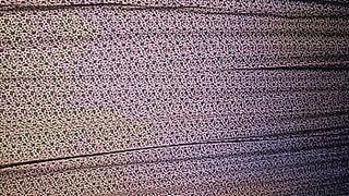 You Know You Want It hiphop muslim  ncaa rapper — | سكس بالعبايه | owns your attention