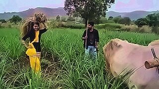 Fresh Release best hindi gane — | hindi marwadi sex | tunes into your hunger