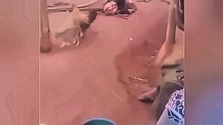 Hot Alert Chipmunky76 — | sviro | is full of electric tension