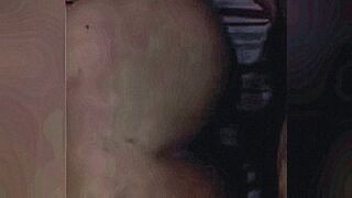 Hot Alert giving the tail — | sheila bellaver dando | gives zero restraint