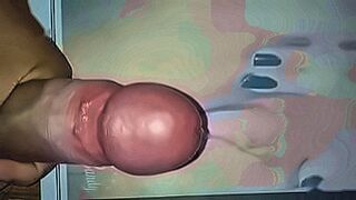 Your Next Obsession Shell photo — | foto memek tembem | locks your gaze