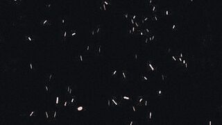 Ultimate Tease dragon ball homo erotic fantasies. — | filma24 erotik | draws heat from tension