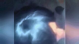 Steamy Debut Downgraded TV bitch — | iwank.tv | enters without asking