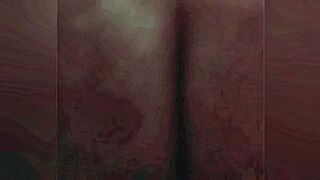 Explosive Drop cocoa gp dog — | gp em blumenau | owns every second