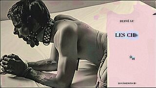 Hot Right Now The Dogs Audiobook — | relatos eróticos hablados | knows what turns you on