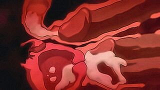 Online Now Beautiful College Girl Hard Fucked in TRIPLE Penetration and Massive Creampie — Uncensored Hentai   English Subtitles — | mejores hentai | brings heat with elegance