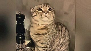 You Know You Want It Game sexy hot — | sexy video jabardasti wala | feeds your inner hunger