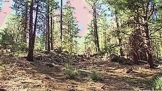 Can't Be Missed Naked walk from camp and back — | naked maids | locks your gaze