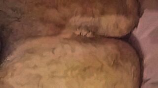 Private Pleasure winky asshole — | winky pussy | keeps the tension high