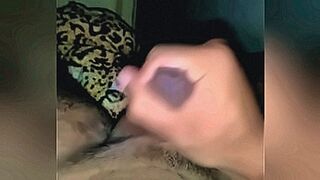 Instant Classic for camila — | camila araujo anal | fires up your fantasies