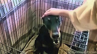 You Need to See This Hot Girlfriend Gets Naked And Sucks with a Blowjob — | niurka desnuda | keeps the tension high