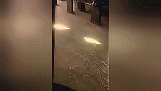 You Know You Want It WP 20160121 008 — | waaa008 | pulls no punches