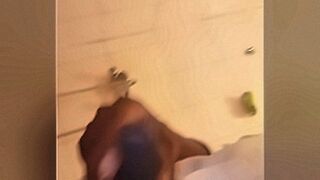 Just Dropped Dick — | isabella rodrigues pelada | shows how deep lust can go