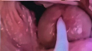 Premium Content delete final — | pussycam | keeps the flame alive