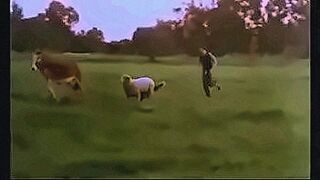 Premium Content good vintage sex — | افلام سكس مساج | opens every door