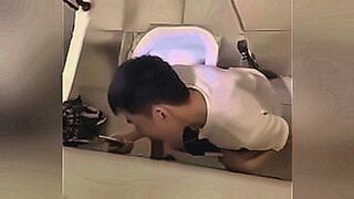 Premium Content Bird eating — | nereyda bird | draws you in completely