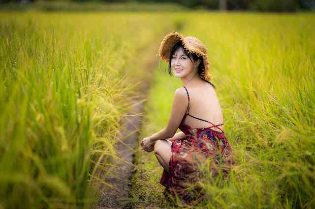 Porn wear of a Chinese woman in a rice field